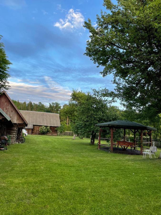 Dom Na Skraju Puszczy Bialowieskiej Narewka Exterior foto