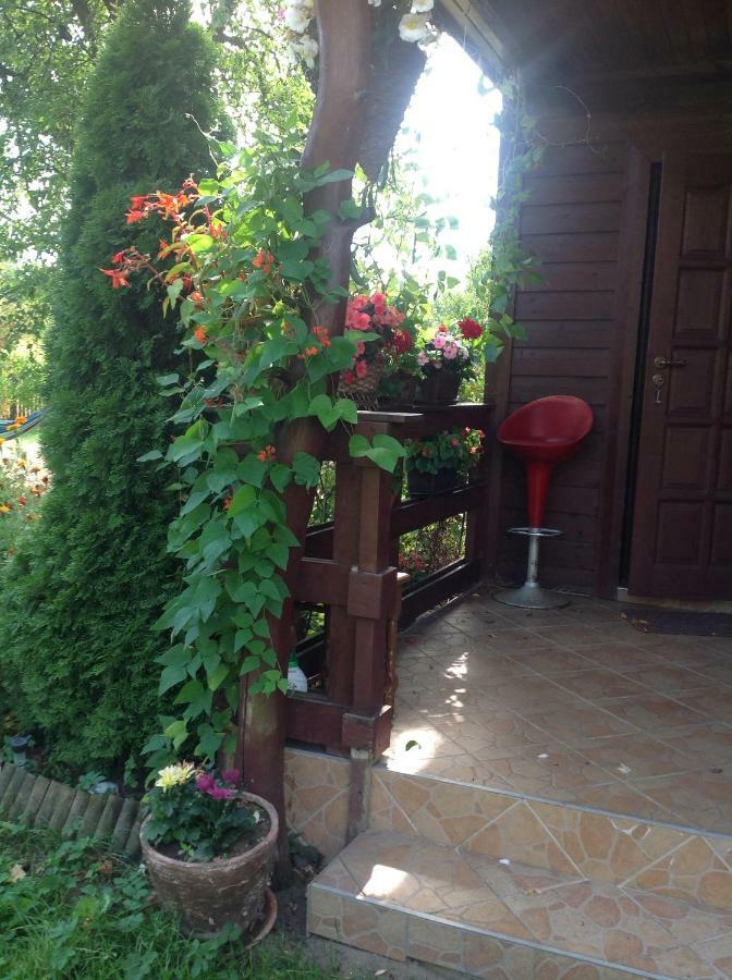 Dom Na Skraju Puszczy Bialowieskiej Narewka Exterior foto